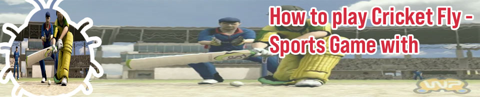 Cricket game for pc 1gb ram